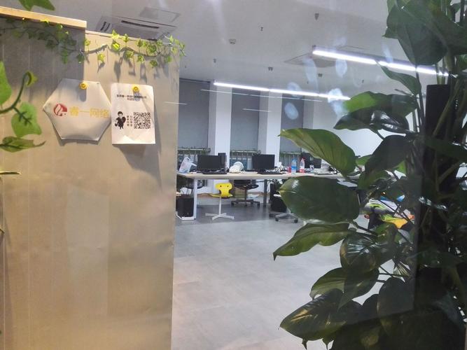 重庆睿一网络科技